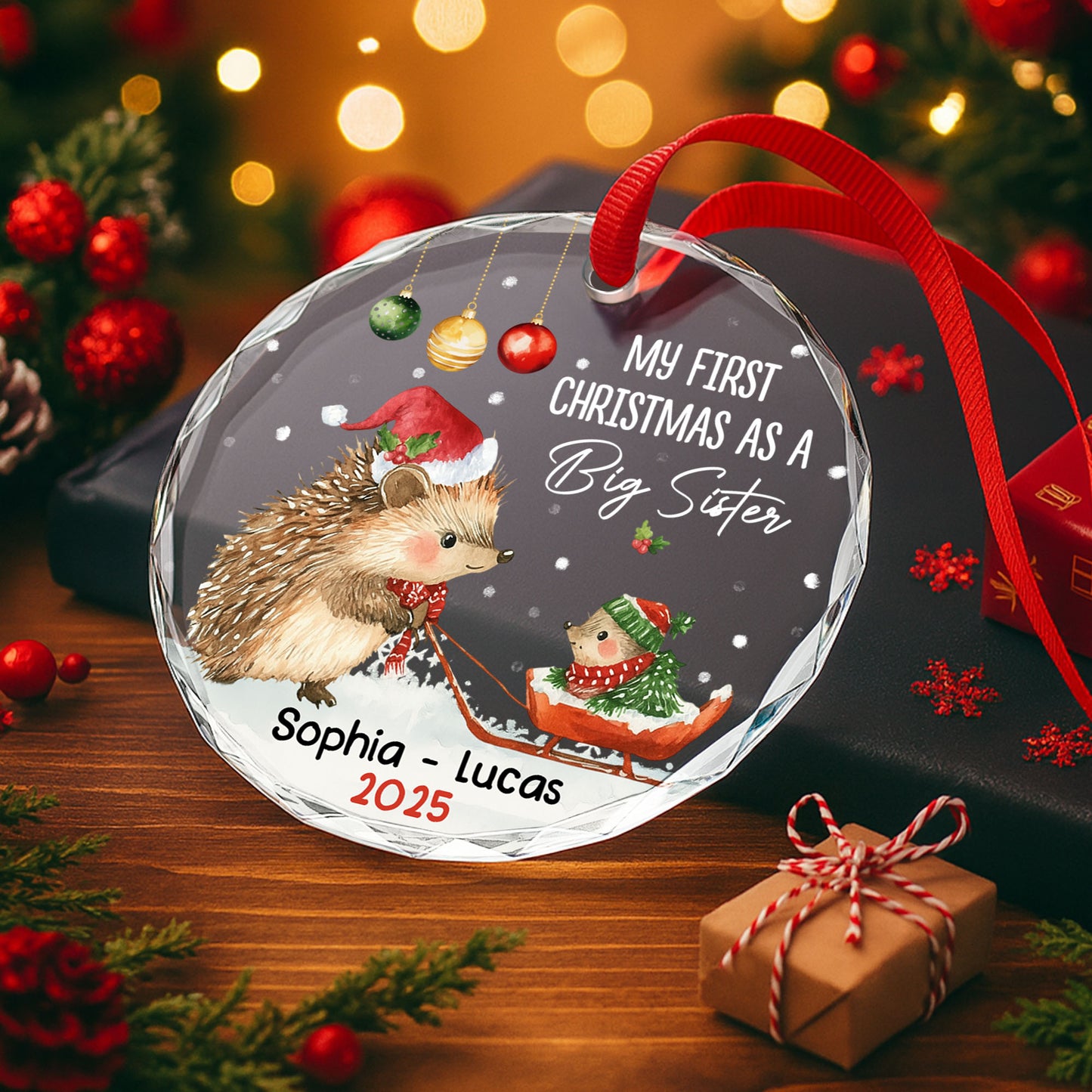 My First Christmas As A Big Sister With Hedgehogs