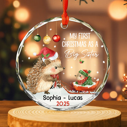 My First Christmas As A Big Sister With Hedgehogs