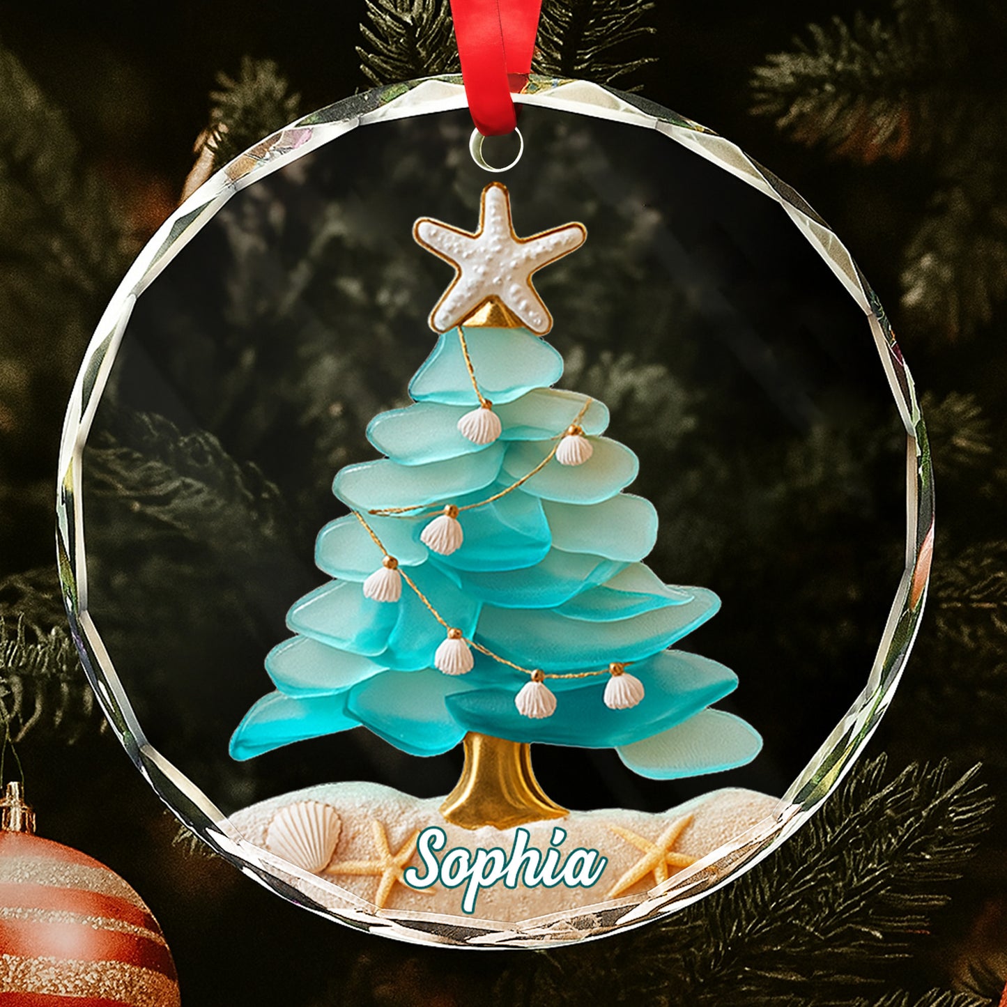 Capture Your Coastal Memories With Starfish And Sea Shells