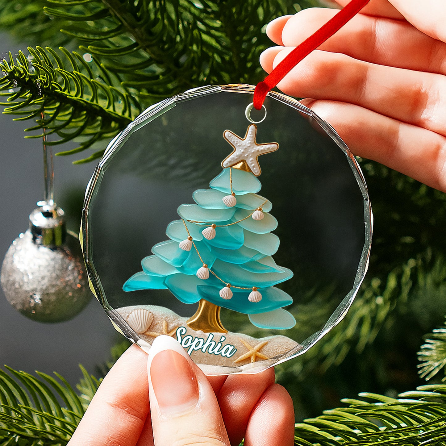 Capture Your Coastal Memories With Starfish And Sea Shells