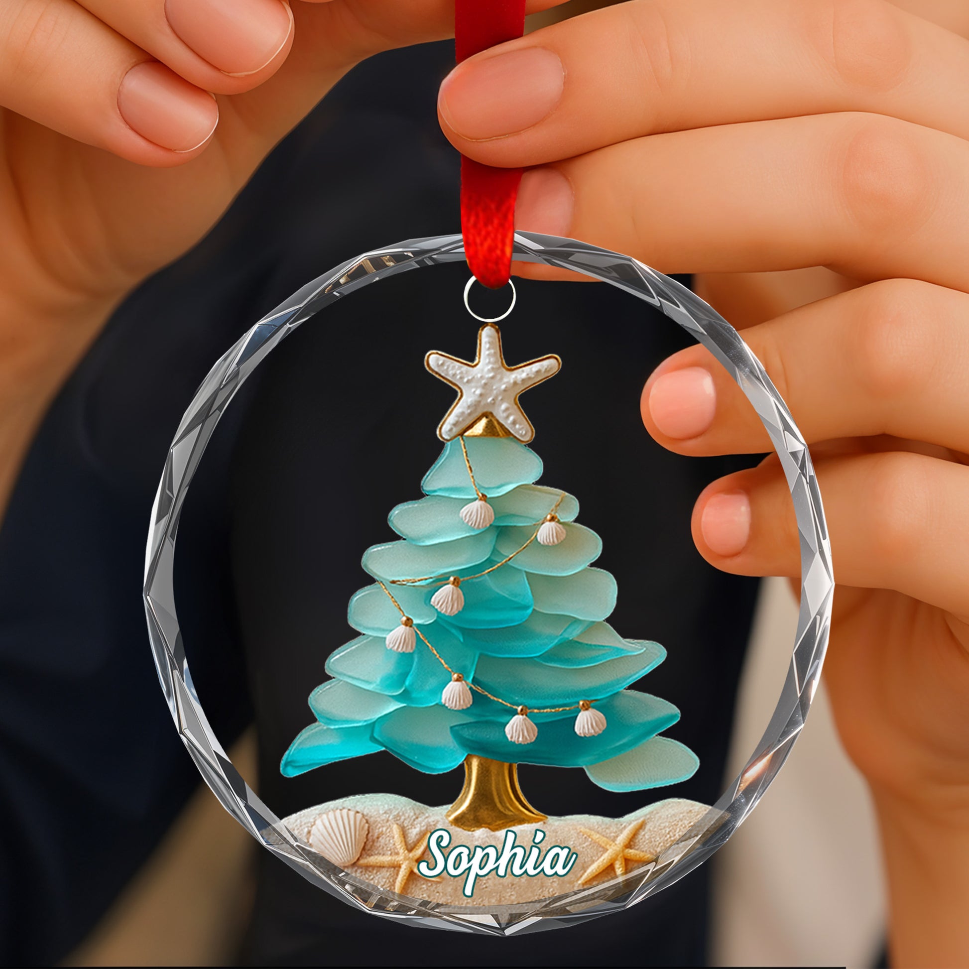 Capture Your Coastal Memories With Starfish And Sea Shells