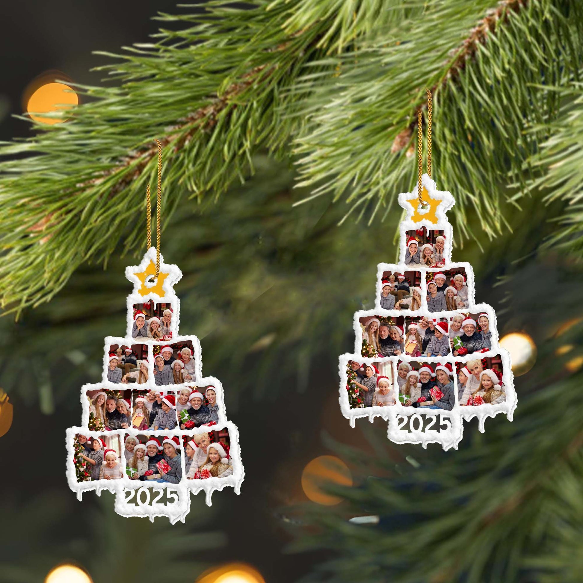 Capture Your Family's Precious Moments