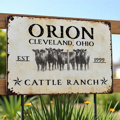 Established Cattle Ranch With Herd Of Cows