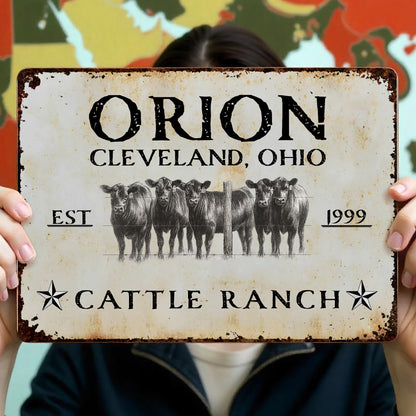 Established Cattle Ranch With Herd Of Cows