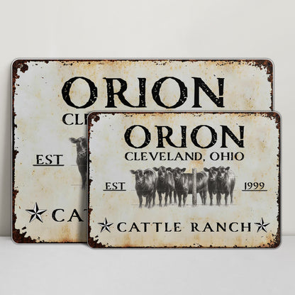 Established Cattle Ranch With Herd Of Cows