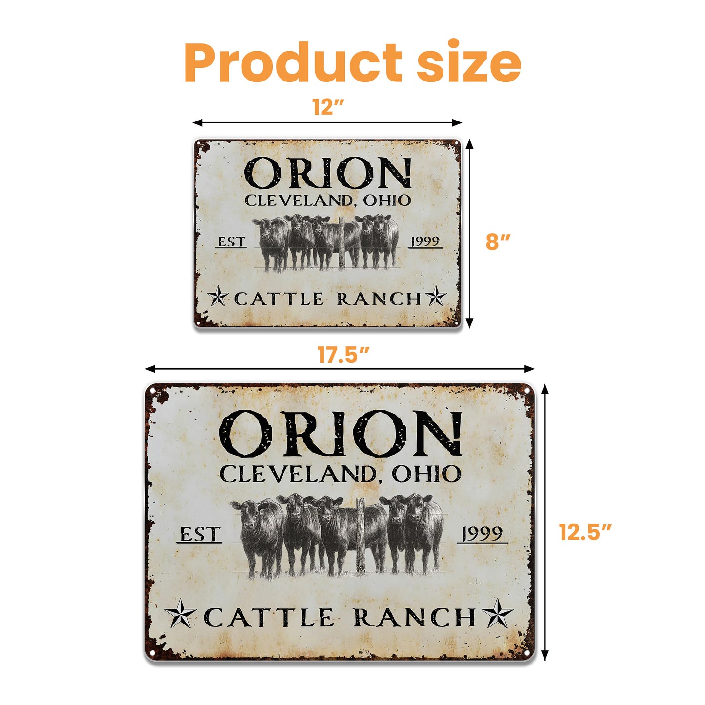 Established Cattle Ranch With Herd Of Cows