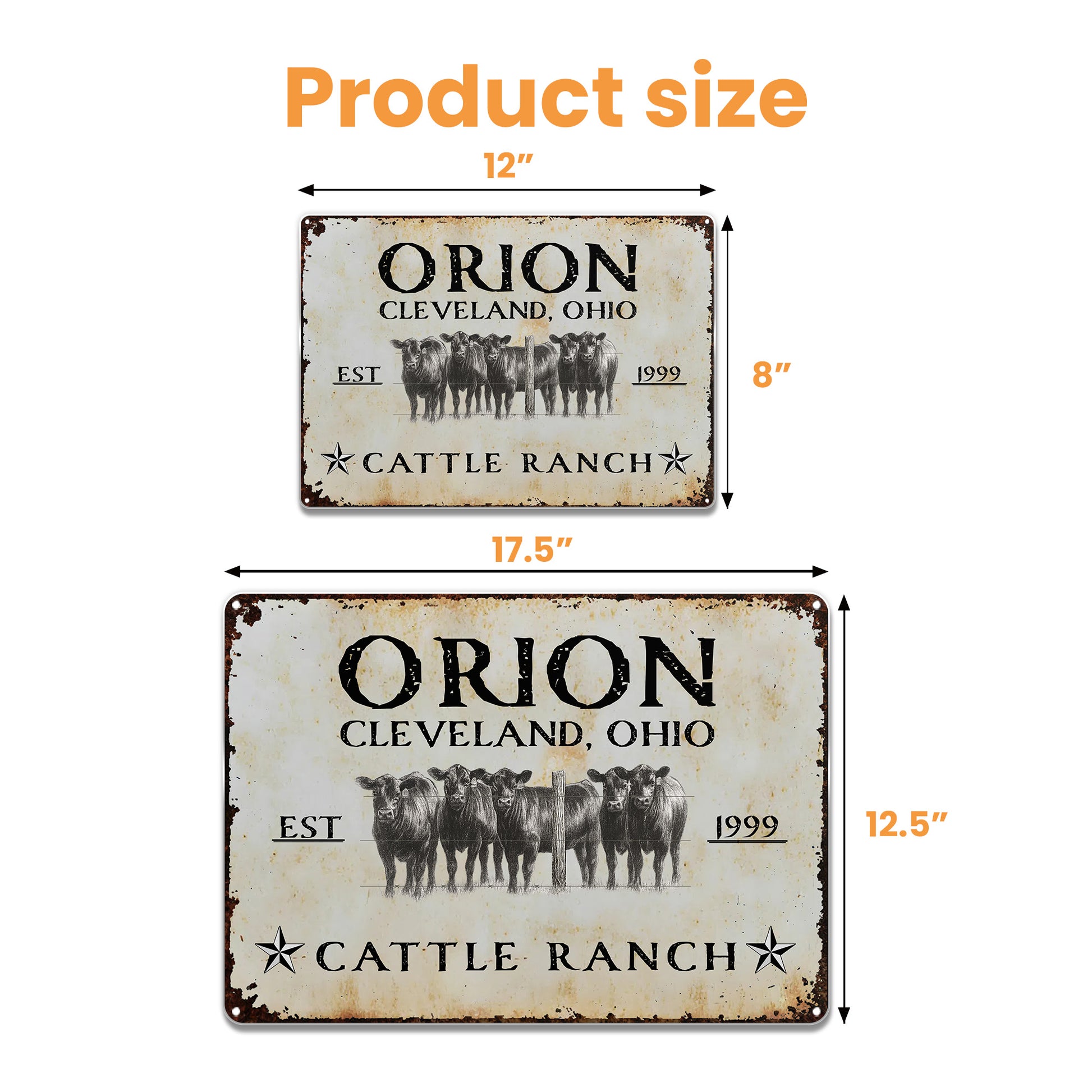 Established Cattle Ranch With Herd Of Cows