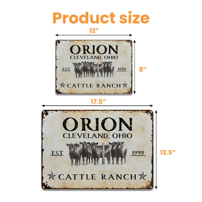 Established Cattle Ranch With Herd Of Cows