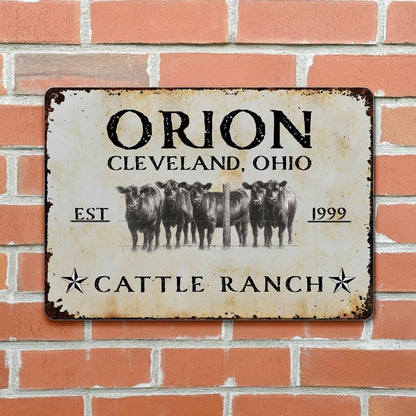 Established Cattle Ranch With Herd Of Cows