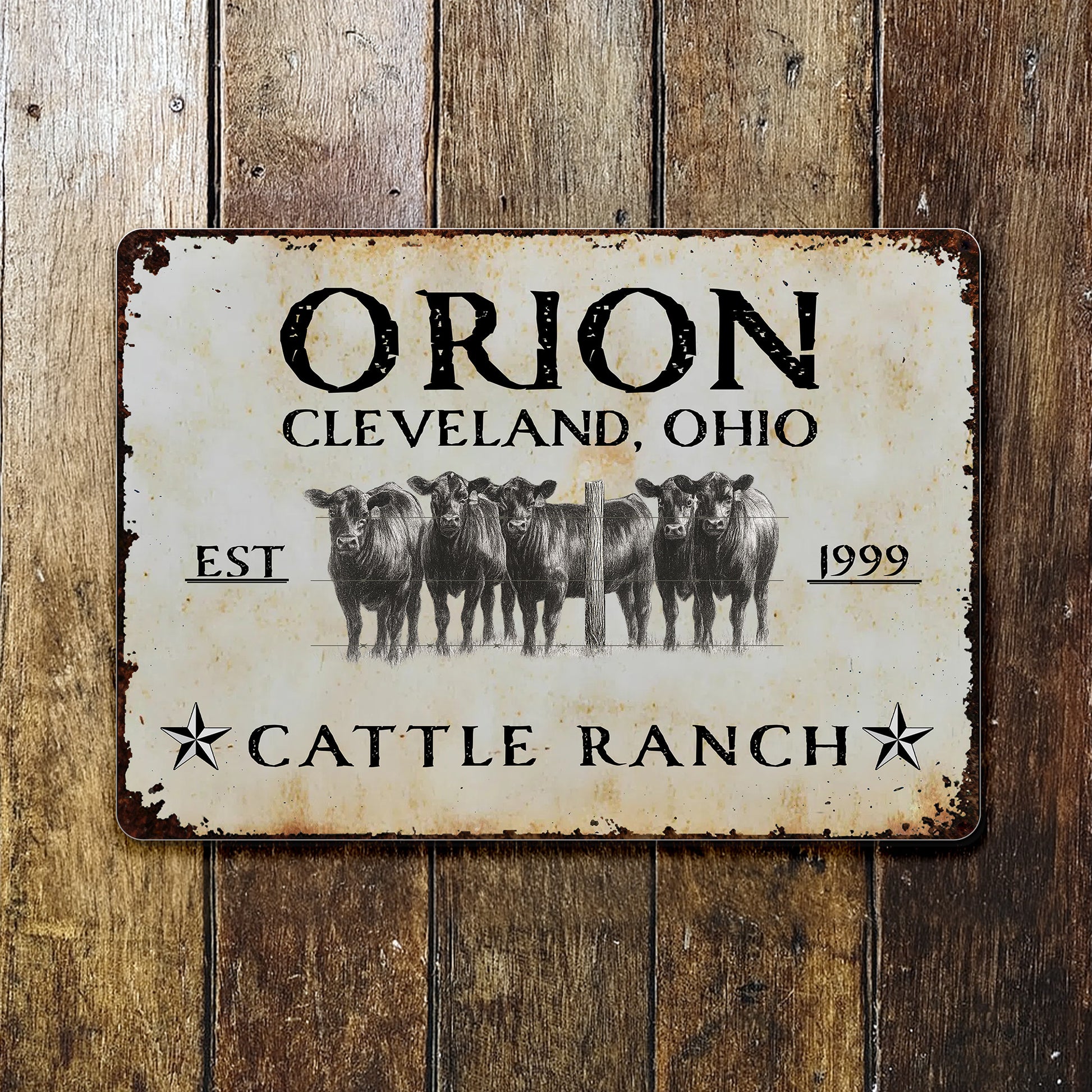 Established Cattle Ranch With Herd Of Cows