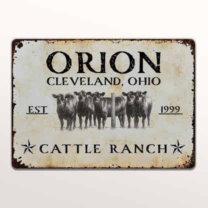 Established Cattle Ranch With Herd Of Cows