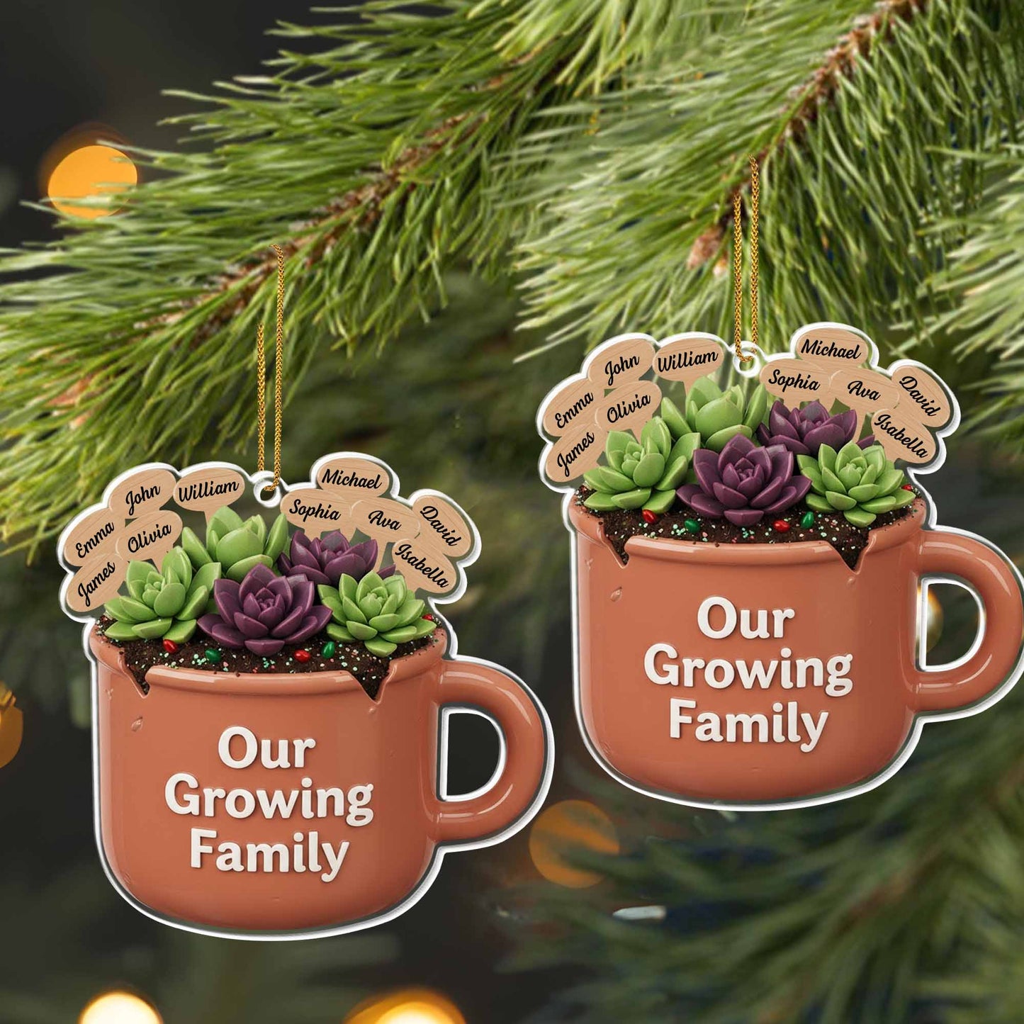 Our Growing Family Succulent Coffee Mug