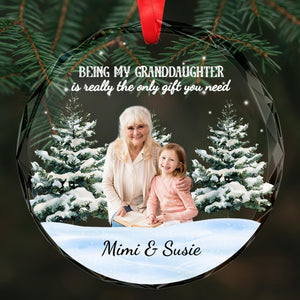 Only Gift You Need Snowy Scene With Grandmother And Granddaughter