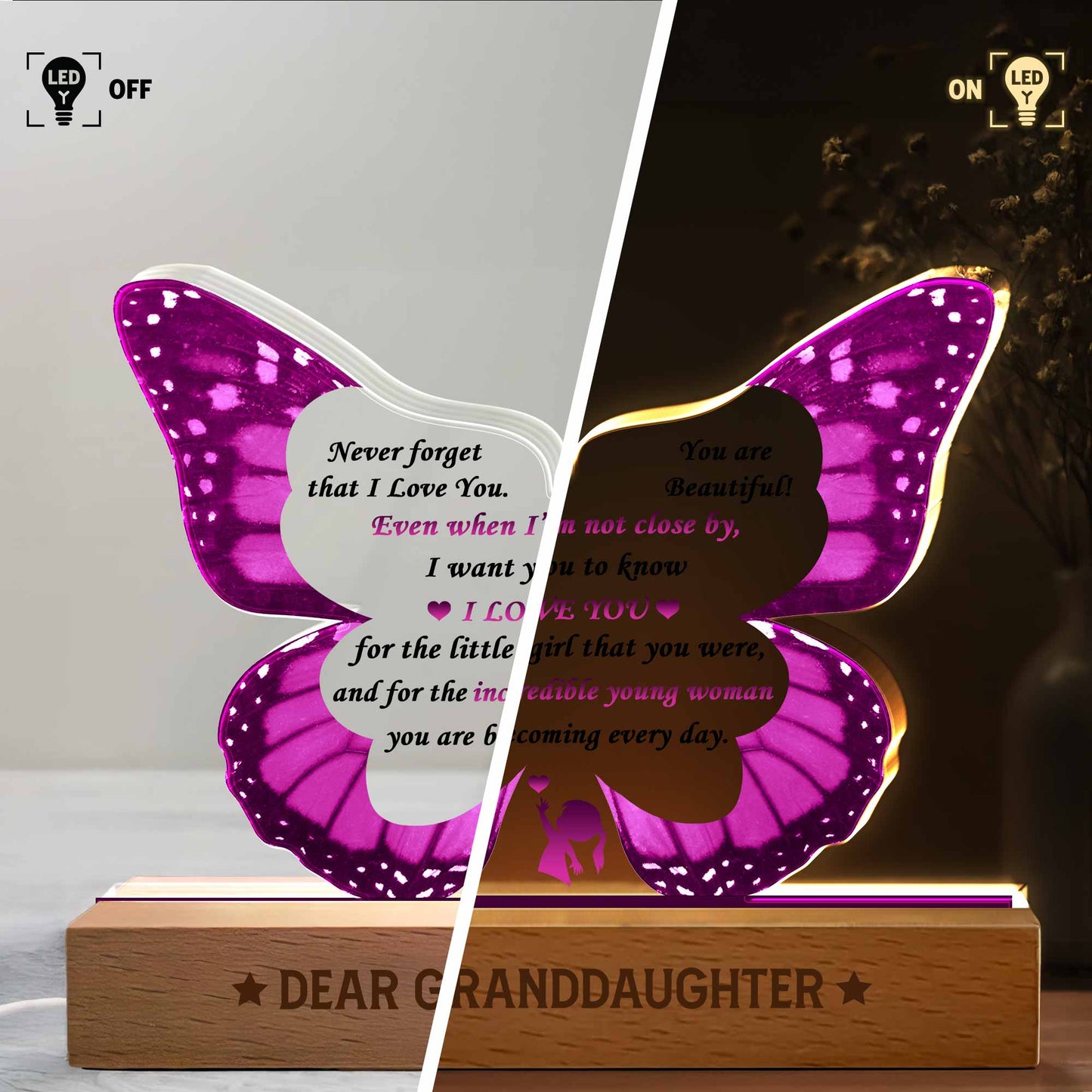 Never Forget That I Love You, Beautiful Butterfly Silhouette