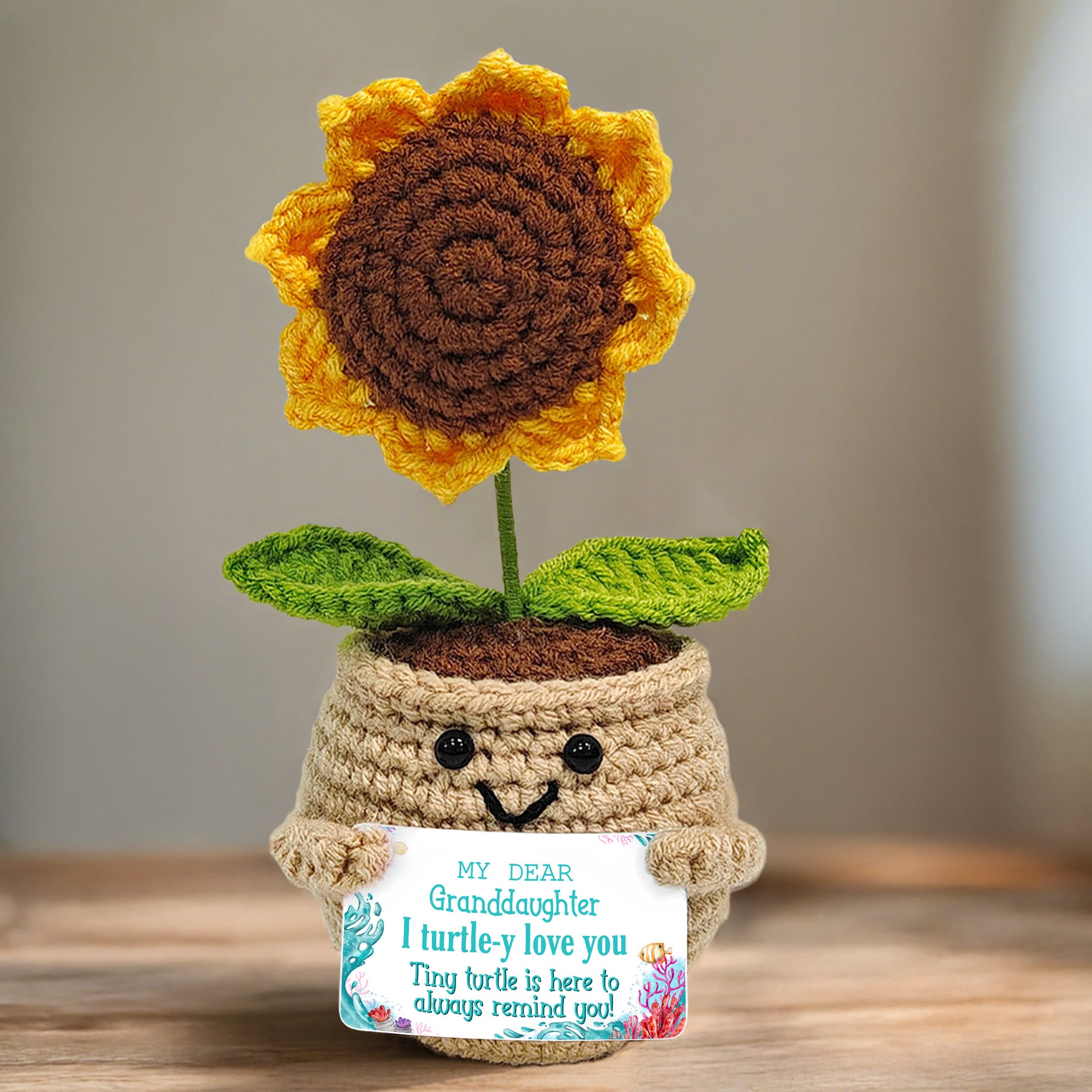 My Dear Granddaughter I Turtle-y Love You