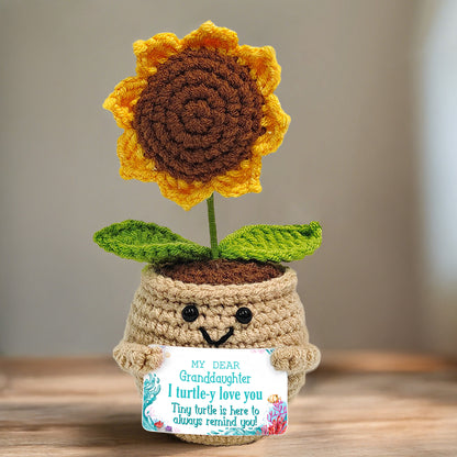 My Dear Granddaughter I Turtle-y Love You