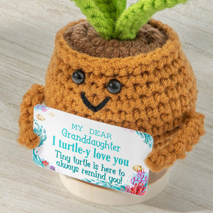 My Dear Granddaughter I Turtle-y Love You