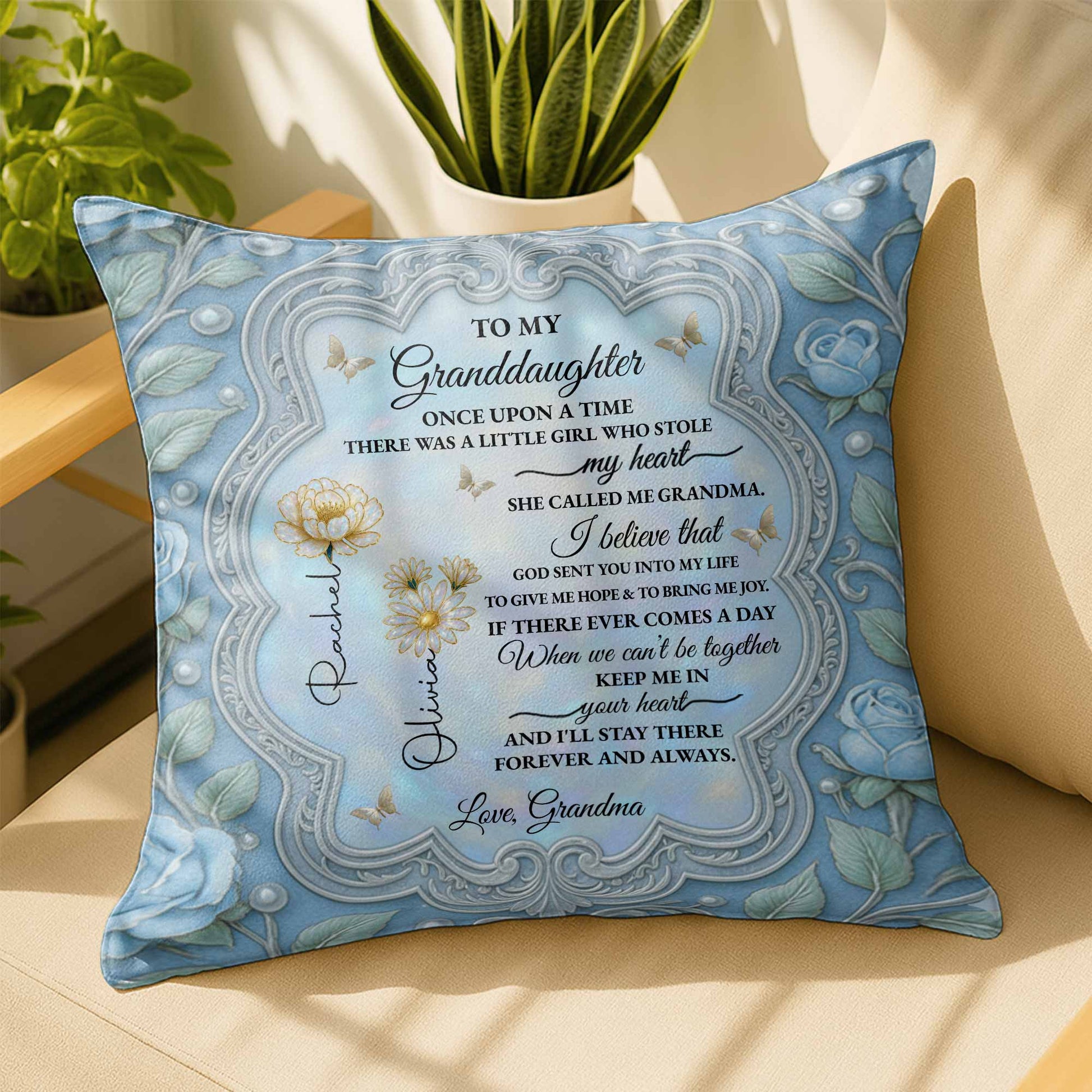 To My Granddaughter, A Little Girl Who Stole My Heart