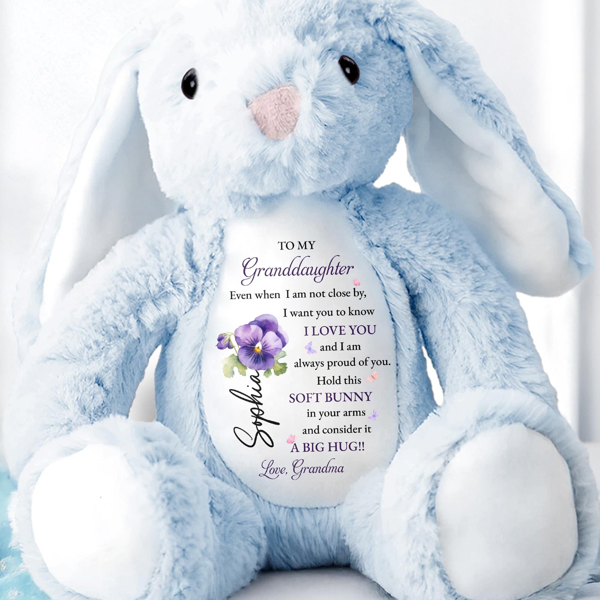 To My Granddaughter, Soft Bunny in Your Arms
