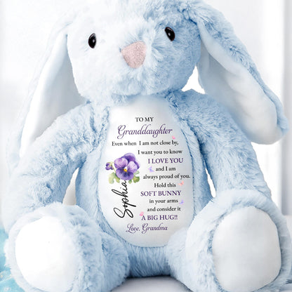 To My Granddaughter, Soft Bunny in Your Arms