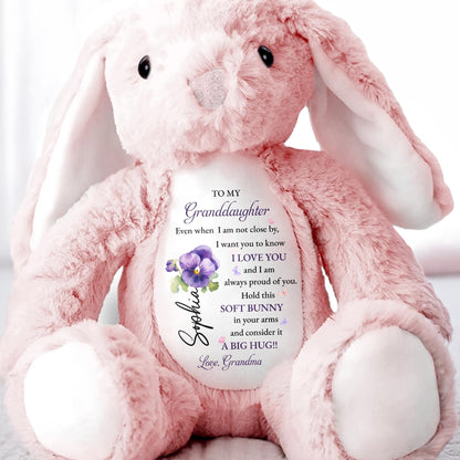 To My Granddaughter, Soft Bunny in Your Arms