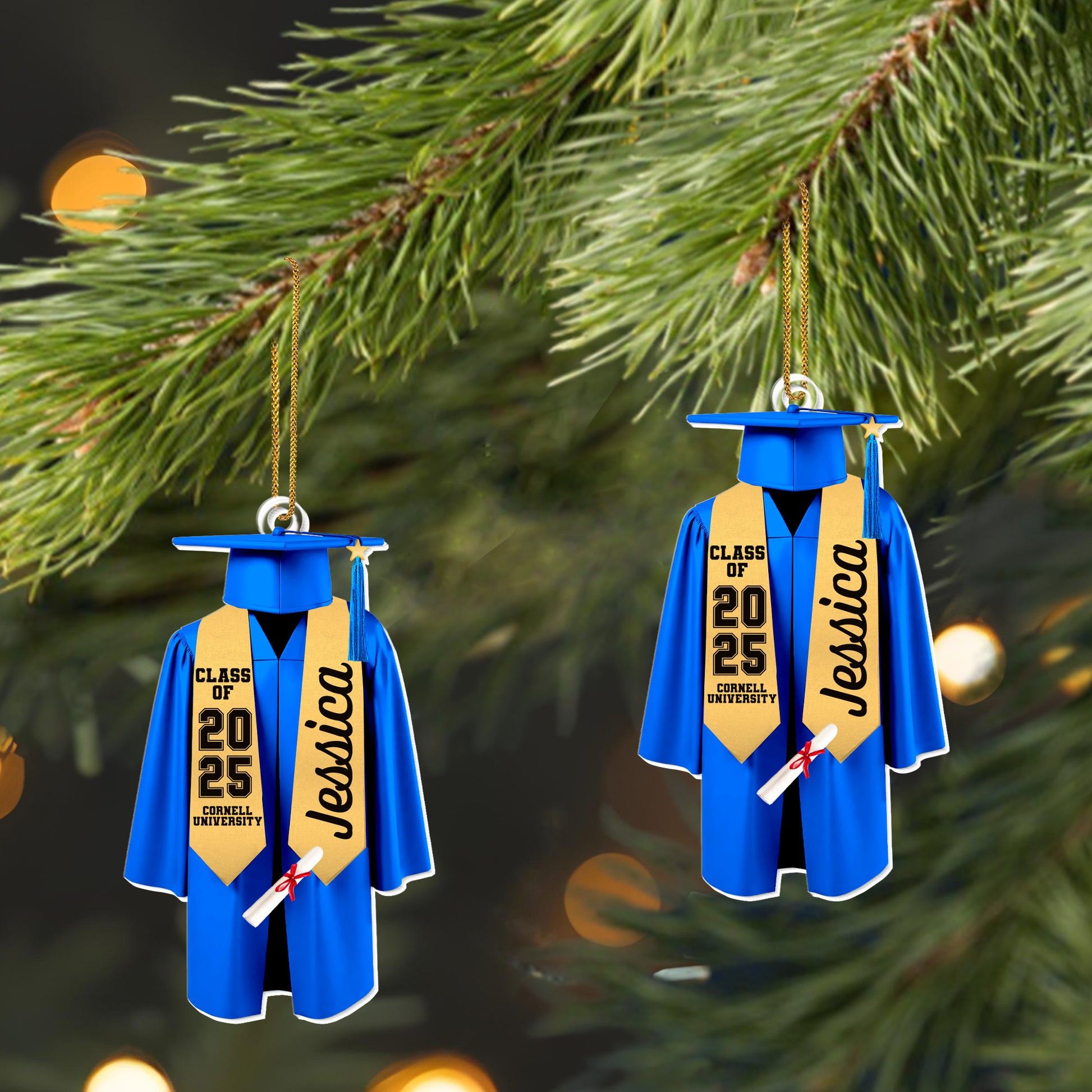 Class Of [Year], Celebrate Graduation With Custom Gown