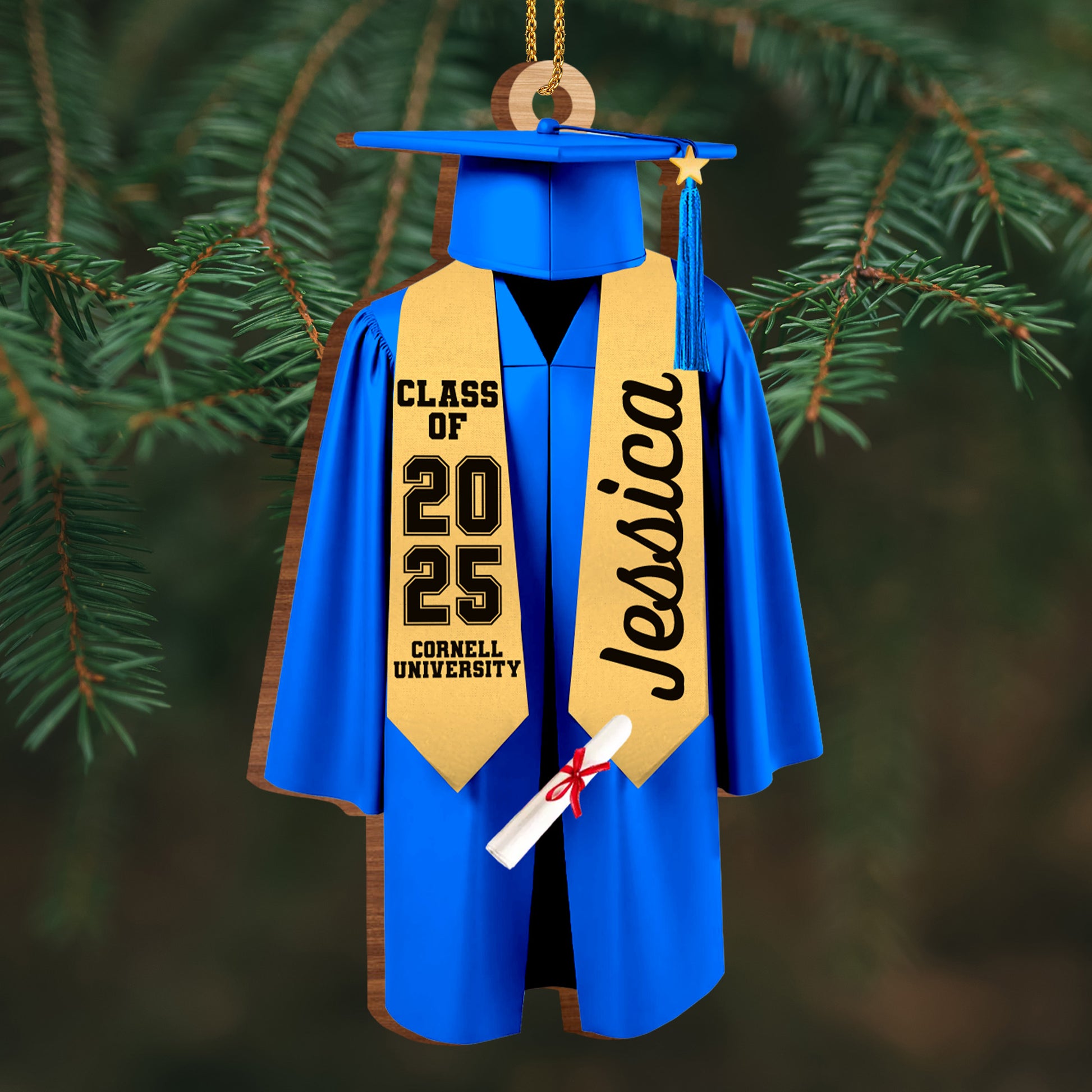 Class Of [Year], Graduation Robe And Cap