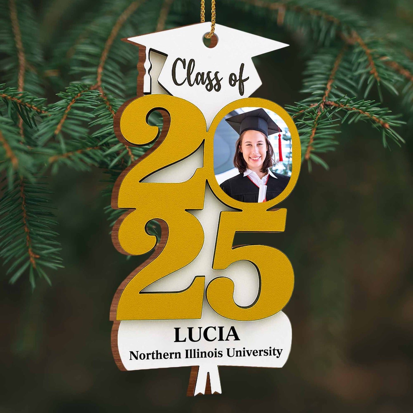 Celebrate Proud Achievements, Graduation Cap and Year