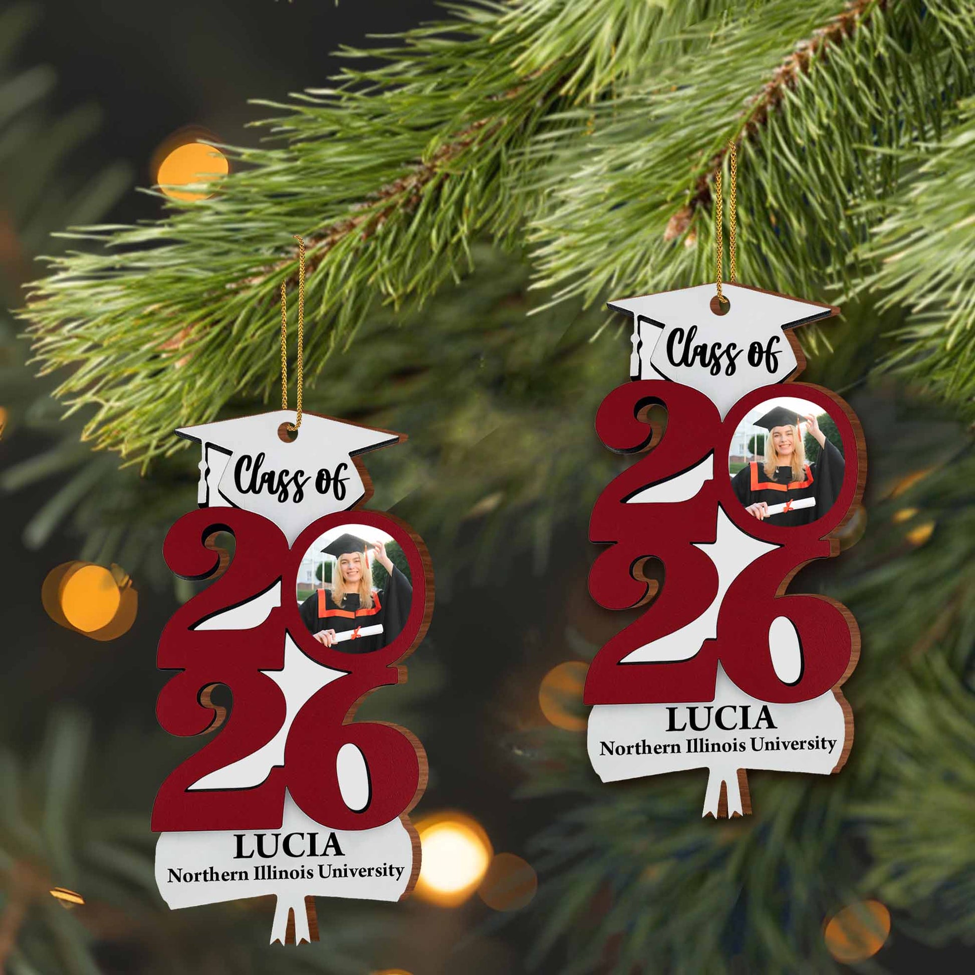 Celebrate Your Graduate, Custom Year Graduation Ornament