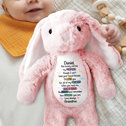 This Bunny Carries My Promise, Love You Forever