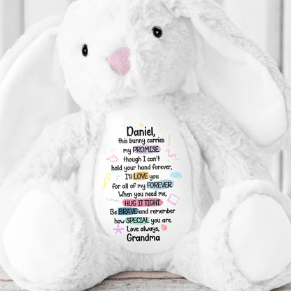 This Bunny Carries My Promise, Love You Forever