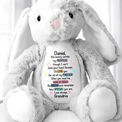 This Bunny Carries My Promise, Love You Forever