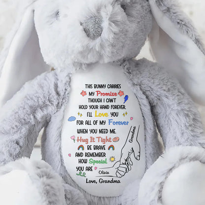 This Bunny Carries My Promise With Paws And Hearts