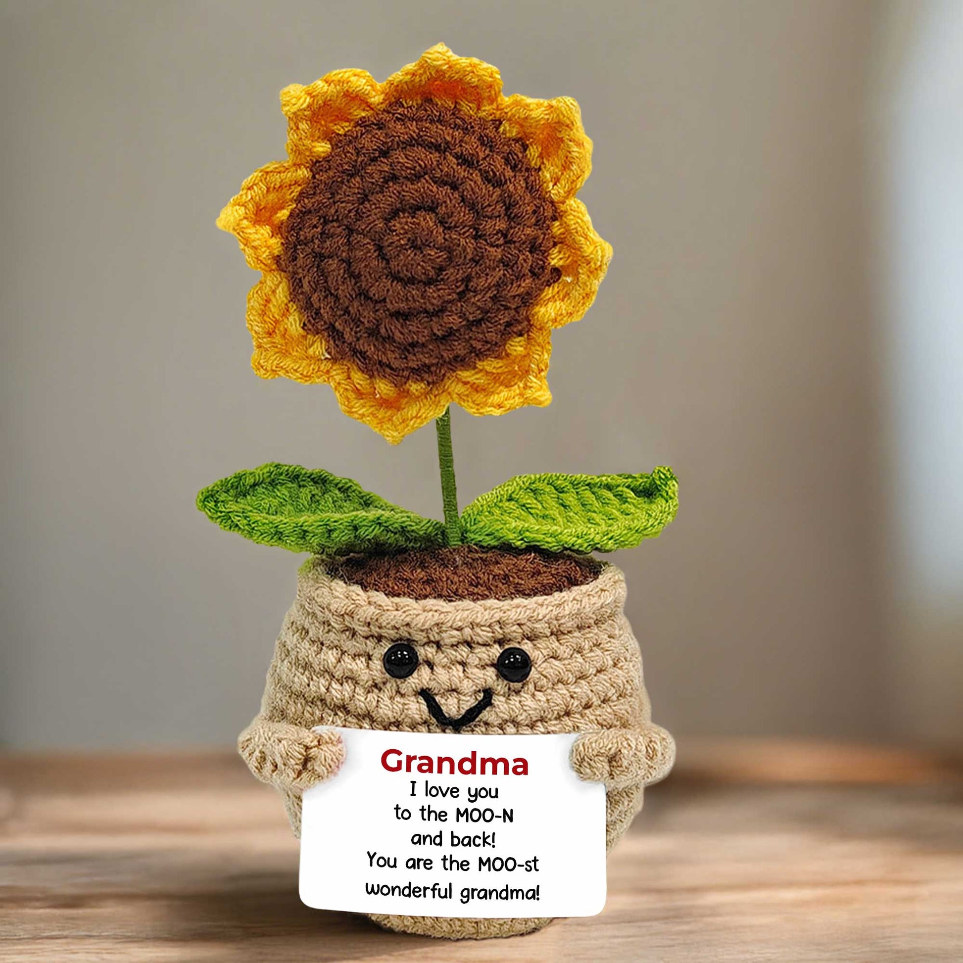 To The Moon And Back, Crochet Turtle And Flower Design