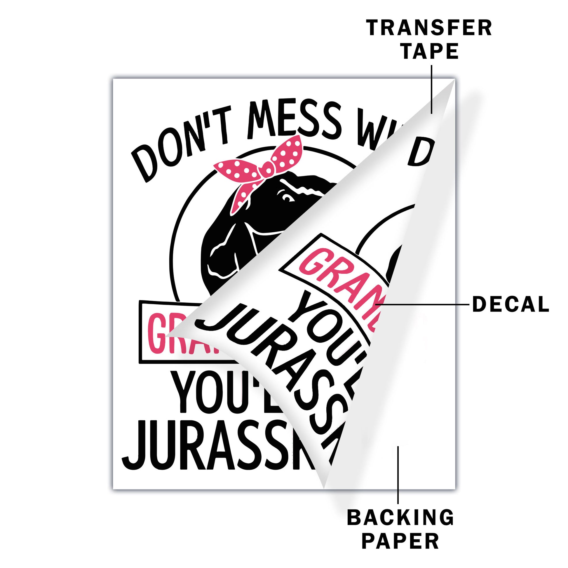 Don't Mess With Grandmasaurus Tyrannosaurus Rex Decal