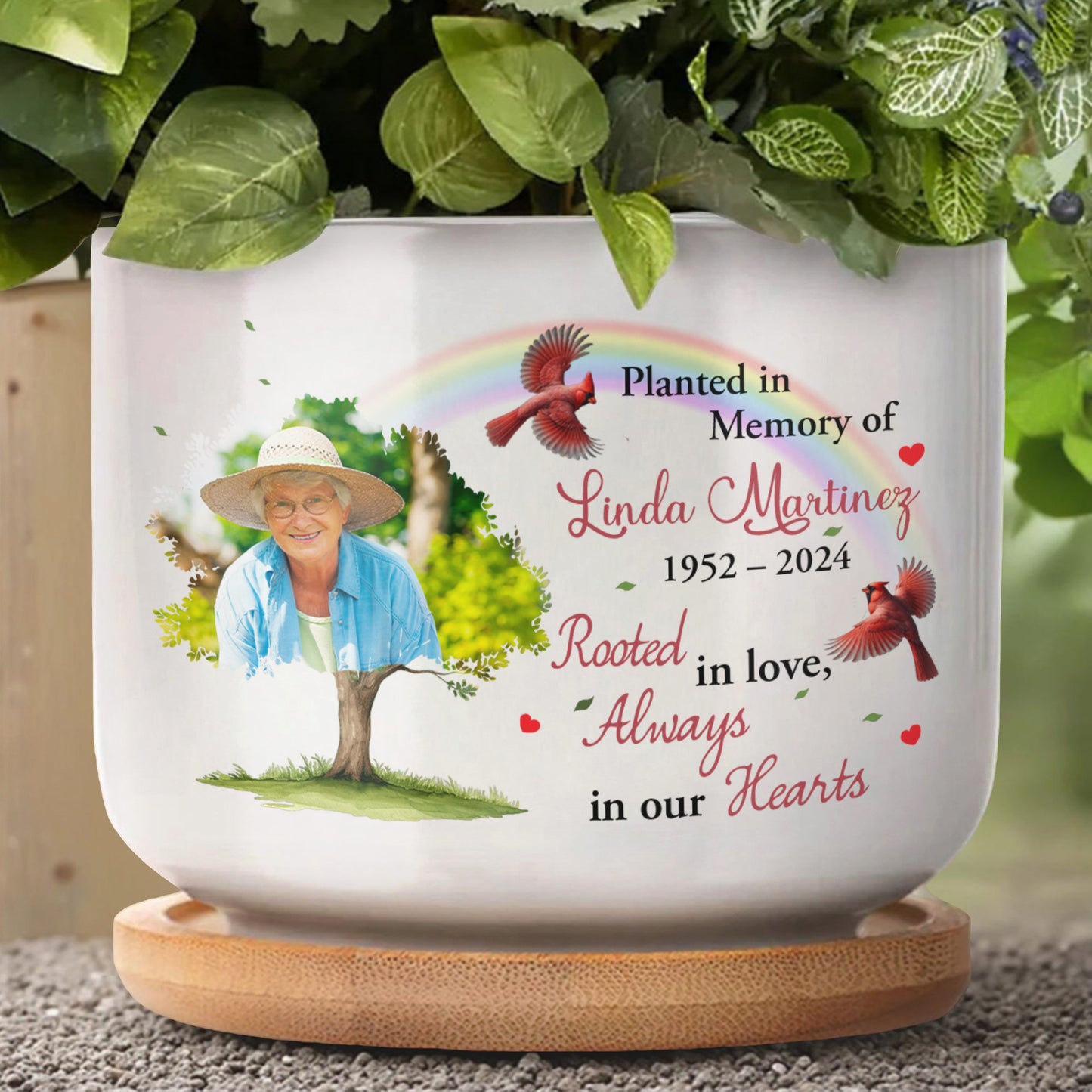 Planted In Memory Of Linda Martinez, Rooted In Love, Always In Our Hearts, Tree and Cardinals