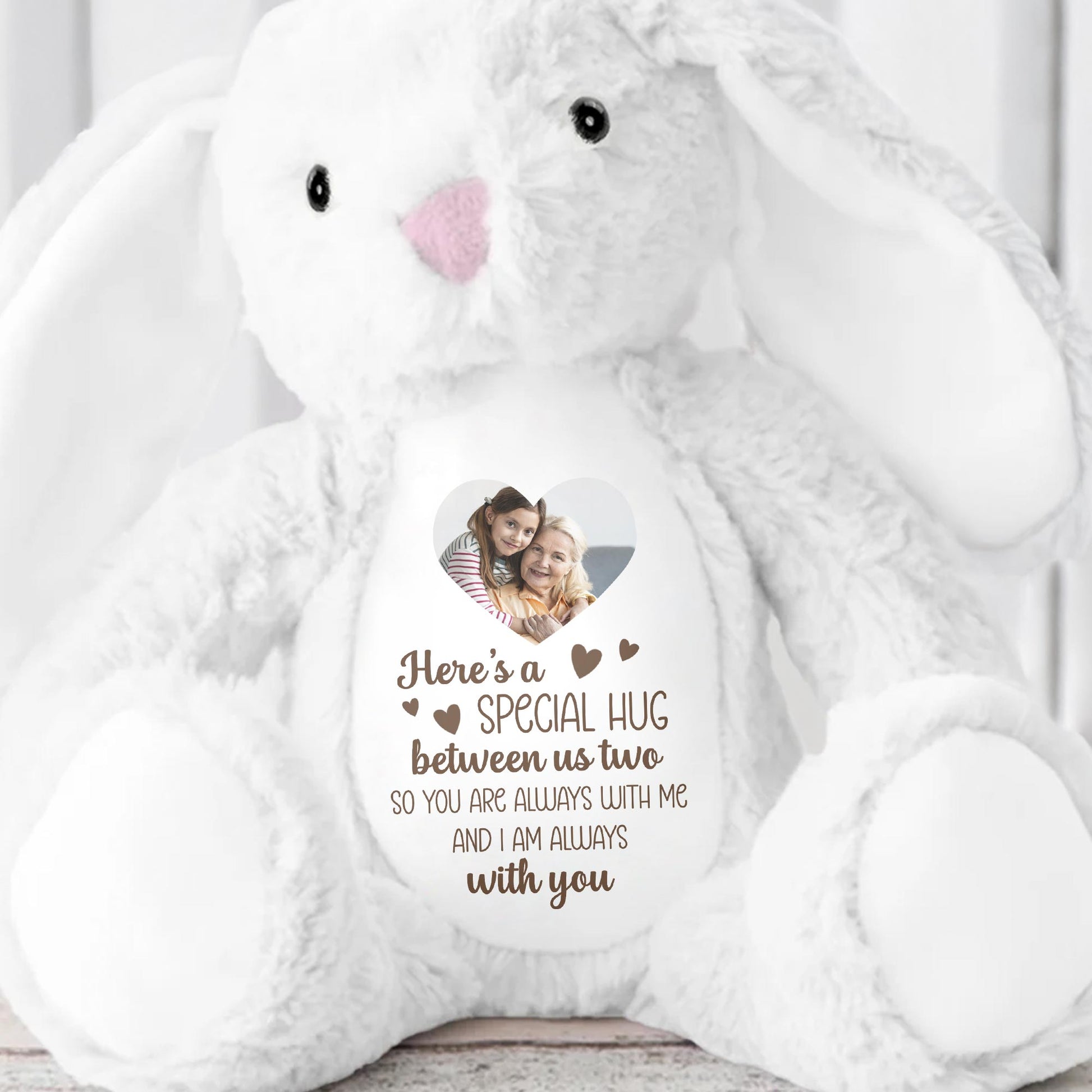 Special Hug Between Us Two, Stuffed Bunny With Heart