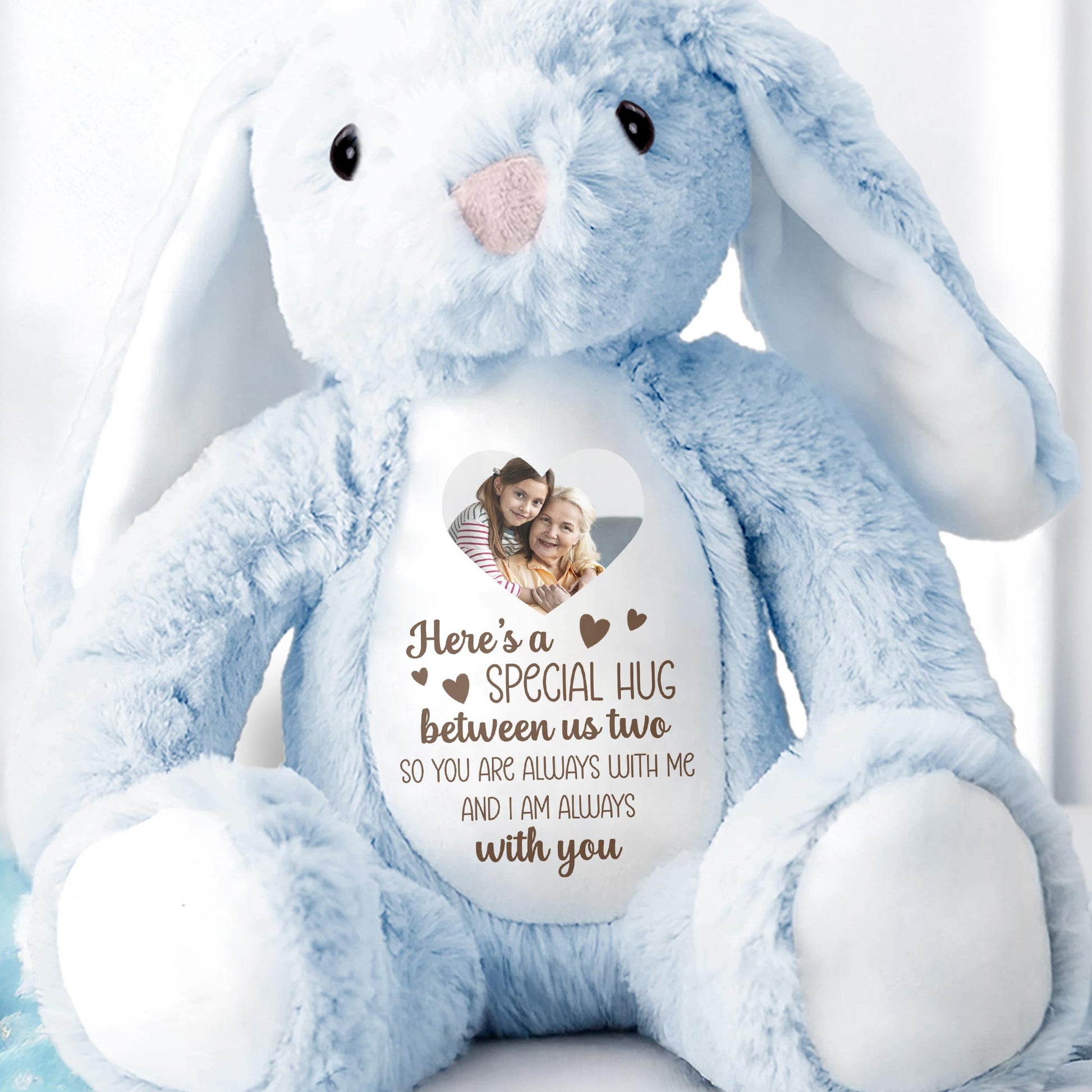 Special Hug Between Us Two, Stuffed Bunny With Heart