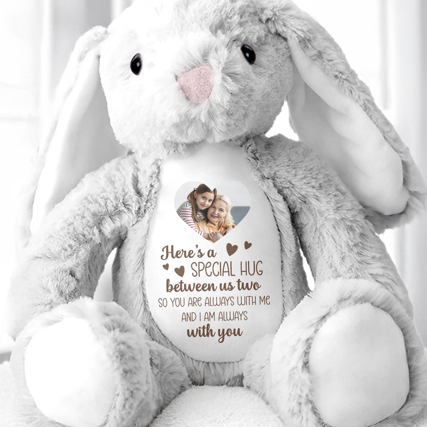 Special Hug Between Us Two, Stuffed Bunny With Heart