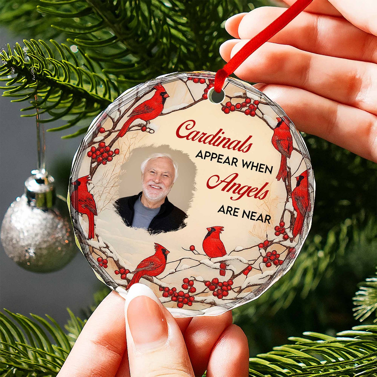 Cardinals Appear When Angels Are Near