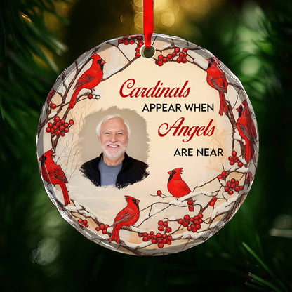 Cardinals Appear When Angels Are Near