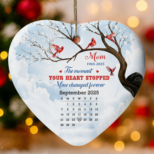 The Moment Your Heart Stopped, Cardinals On Snowy Tree