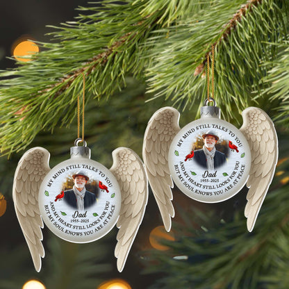 My Mind Still Talks To You, Wings And Red Cardinal Birds