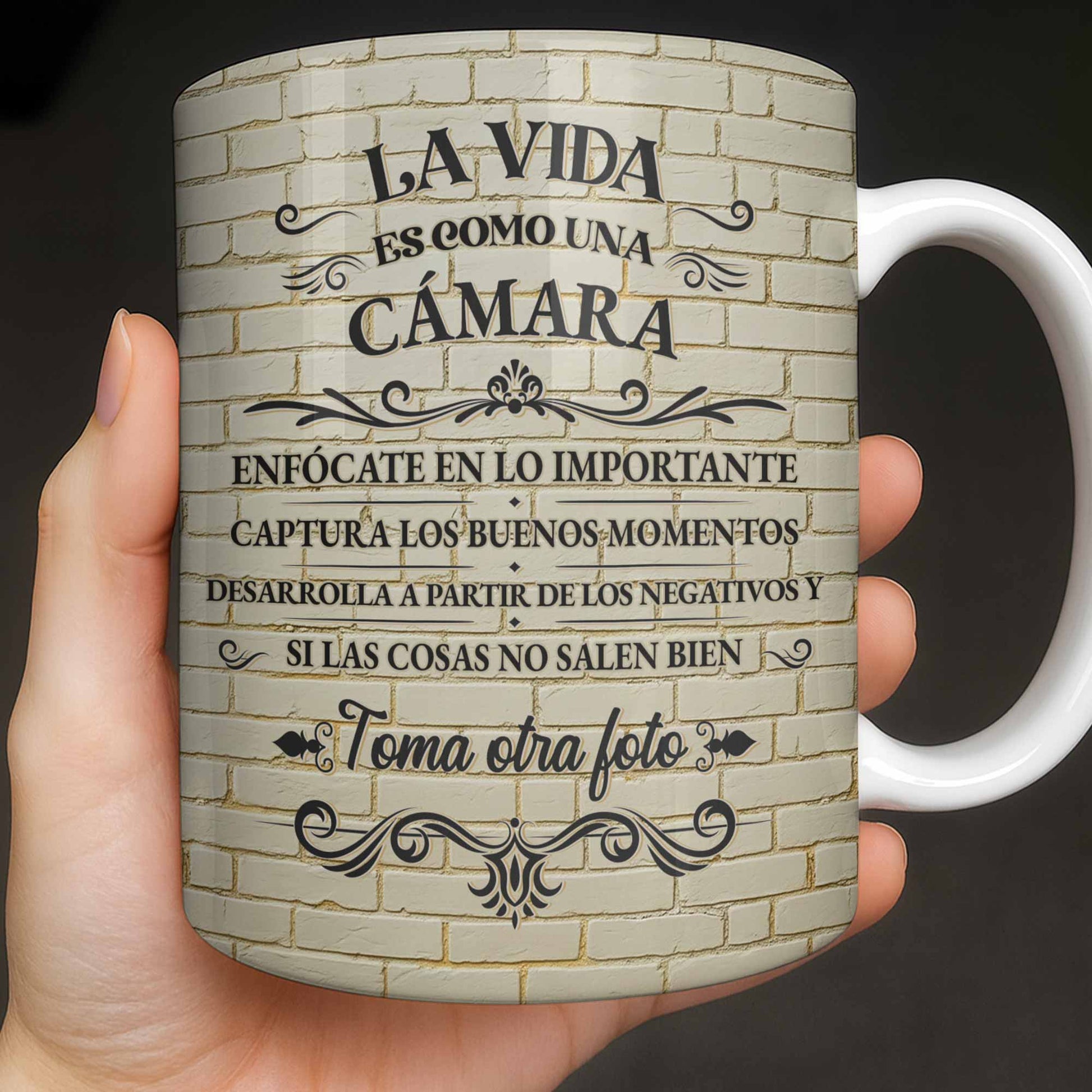 La Vida Es Como Una Camara Photographer Life With Camera Gear