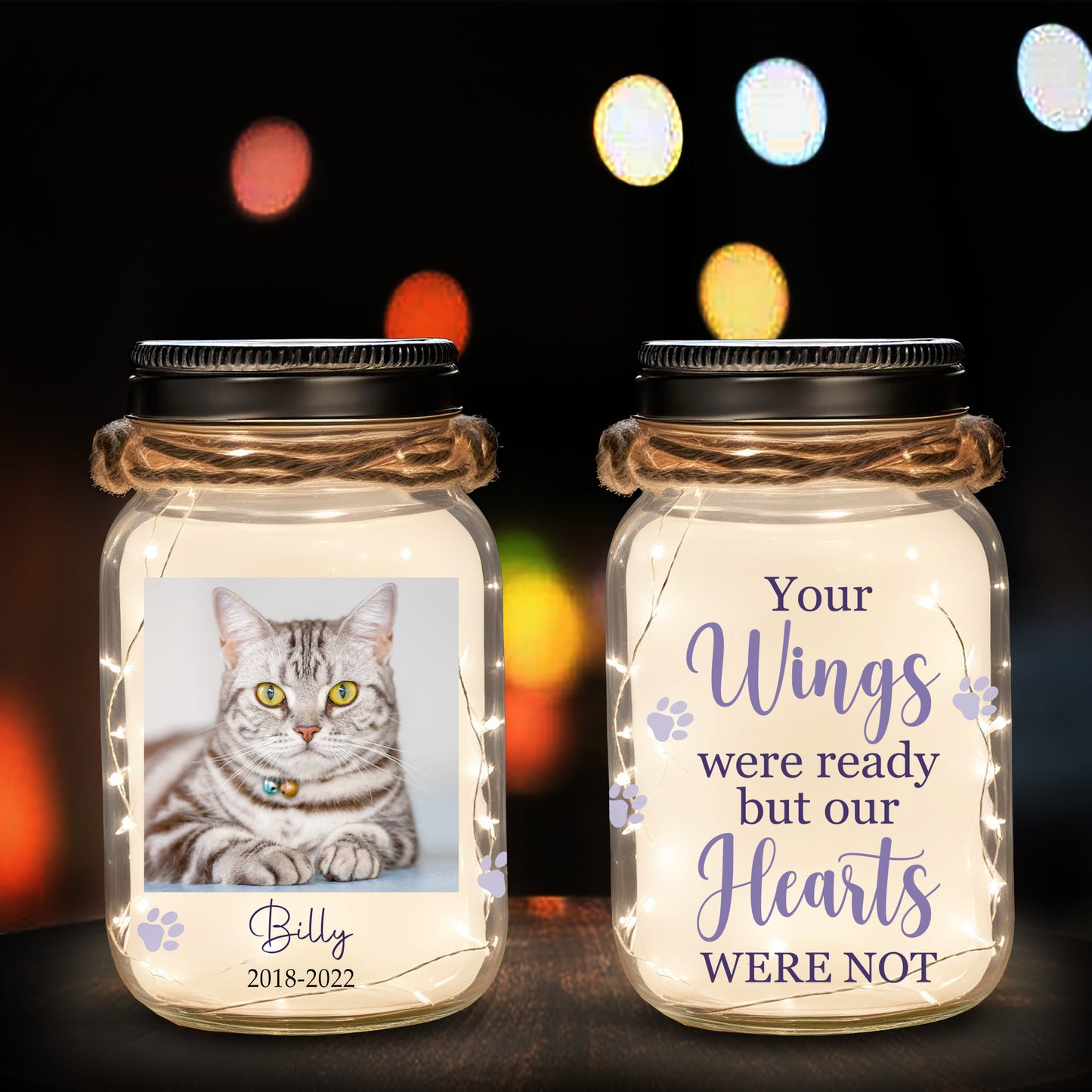 Your Wings Were Ready But Our Hearts Were Not  - Personalized Custom Mason Jar Light - PET001_JARL