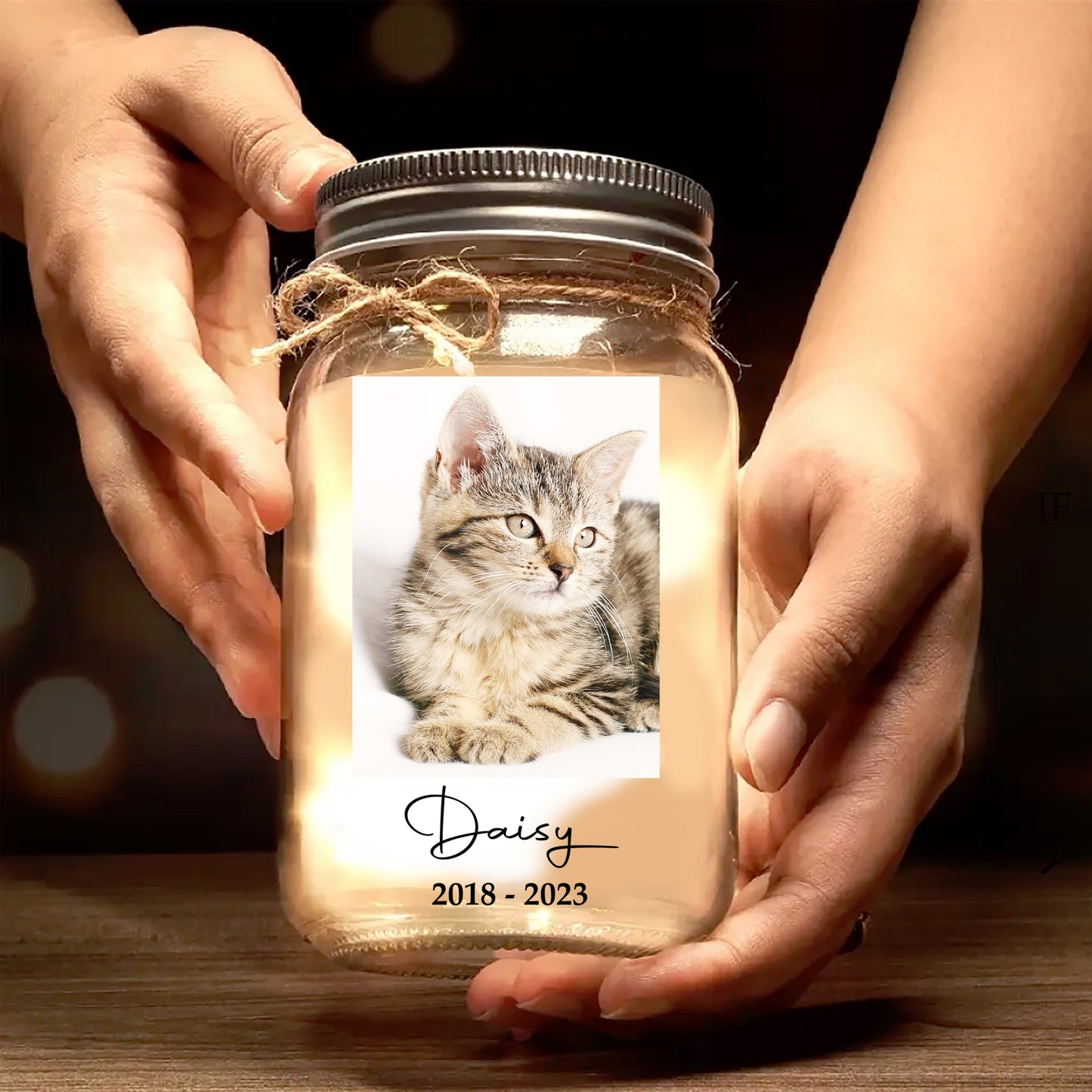 In Loving Memory - Personalized Custom Mason Jar Light - PET005_JARL