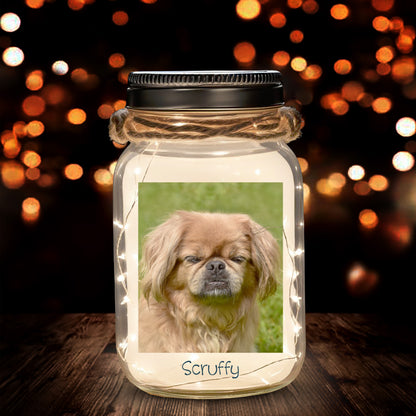 When Tomorrow Starts Without Me - Personalized Custom Mason Jar Light - PET009_JARL