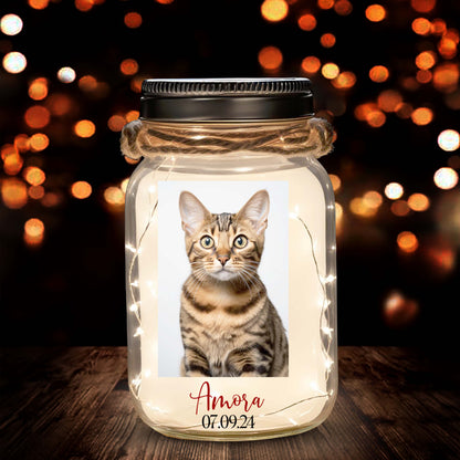 Huellas En Nuestros Corazones  - Personalized Custom Mason Jar Light - PET012_JARL