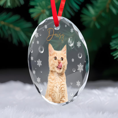 Pet Custom Photo Glass Ornament - Personalized Custom Circle Glass Ornament - PET025_CGOR