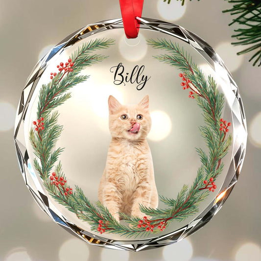 Celebrate The Purr-Fect Moments Of The Season